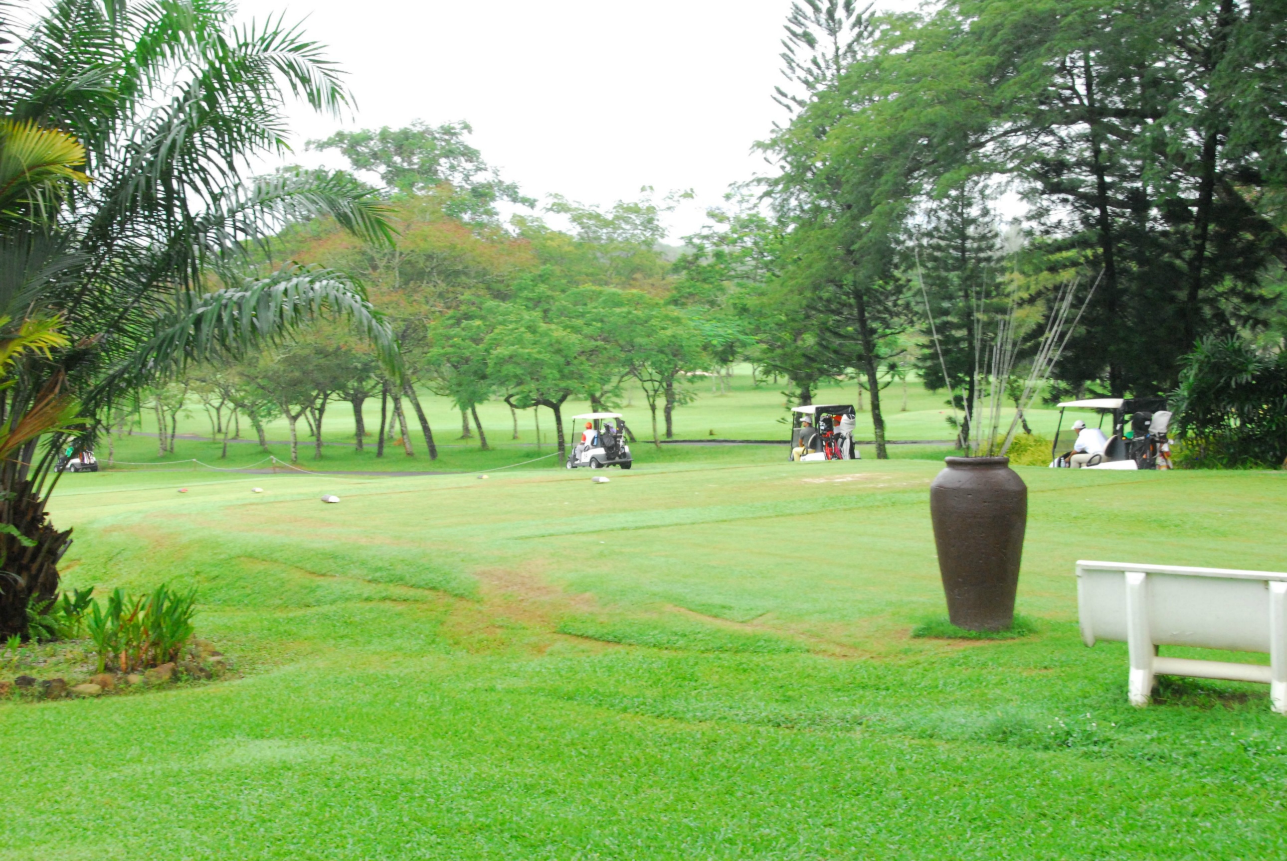 PRO15 157 GOLF DSC 0100.JPG